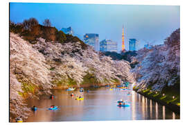 Alubild Fluß und Kirschbaumblüte in Tokyo