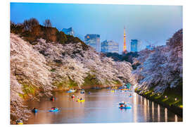 Hartschaumbild Fluß und Kirschbaumblüte in Tokyo