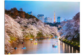 Tableau en plexi-alu Fleuve et fleurs de cerisier à Tokyo