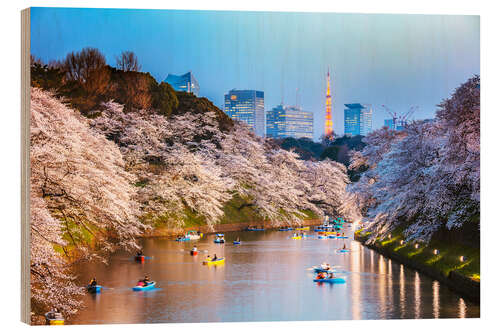 Obraz na drewnie River and cherry tree blossom in Tokyo