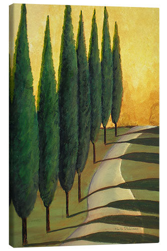 Canvas print Cypress Path in The Evening