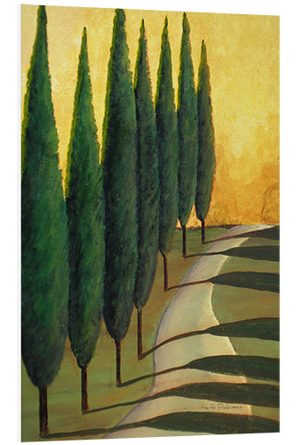 PVC-taulu Cypress Path in The Evening