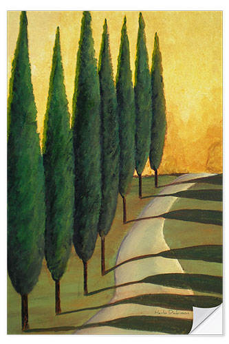 Selvklæbende plakat Cypress Path in The Evening