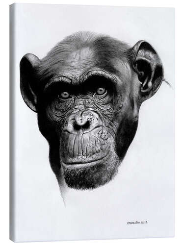 Canvas-taulu Chimp 01