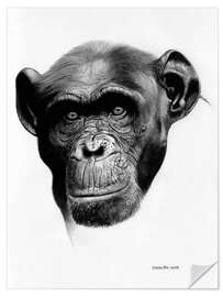 Selvklæbende plakat Chimp 01