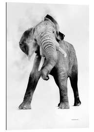 Gallery print Elephant 2