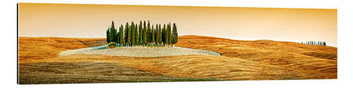 Galleriataulu Cypress trees in Tuscany