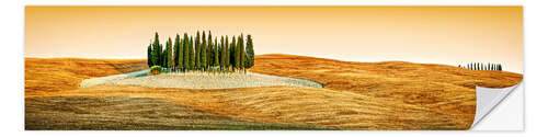 Wall sticker Cypress trees in Tuscany