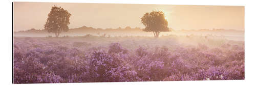 Gallery print Mist in the heath landscape