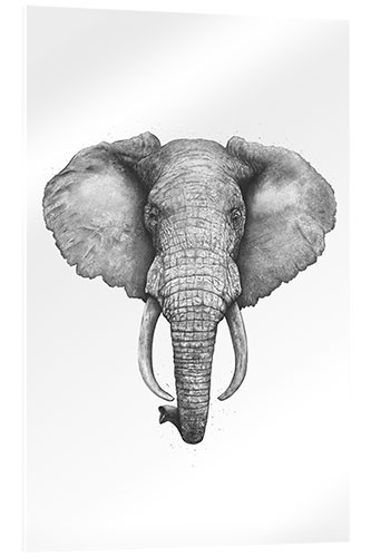 Acrylic print Elephant