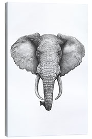 Canvas print Elephant