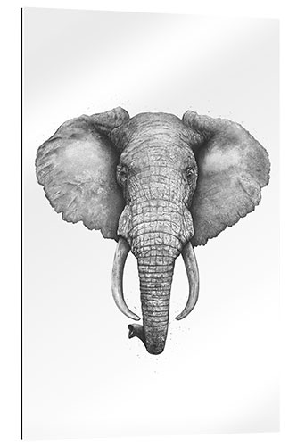 Gallery print Elephant