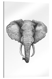 Gallery print Elephant