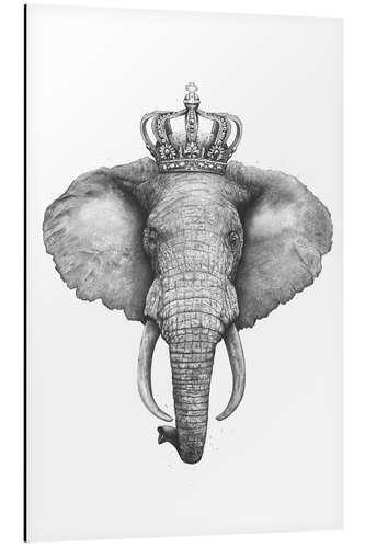 Aluminium print The Elephant King