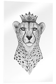 Acrylglasbild Queen Cheetah