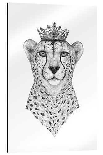 Quadro em plexi-alumínio Rainha Cheetah