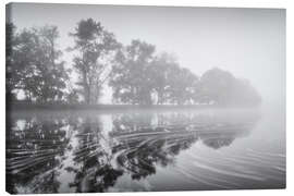 Leinwandbild Schwimmend auf dem See