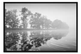 Gerahmter Kunstdruck Schwimmend auf dem See