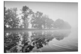 Magnettafel Schwimmend auf dem See