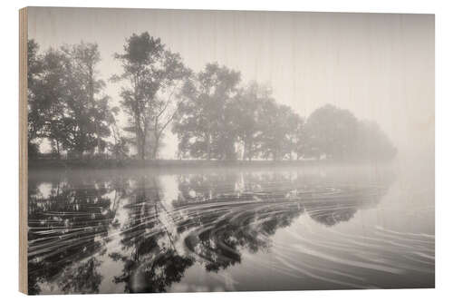 Tableau en bois Flotter sur le lac