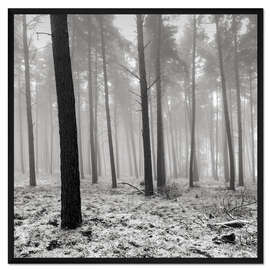 Gerahmter Kunstdruck Ruhe 2