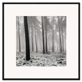 Framed art print Rest 2