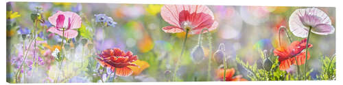 Canvas print Tender poppy in pastel