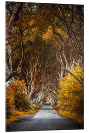 Tableau en verre acrylique Dark Hedges à l&#039;automne en Irlande