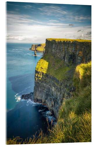 Acrylglasbild Cliffs of Moher am Morgen, Irland