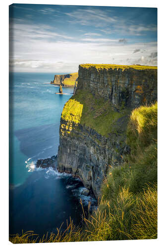 Obraz na płótnie Cliffs of Moher in the morning, Ireland