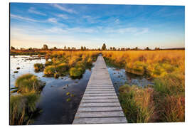Magnettafel Hohes Venn in Belgien