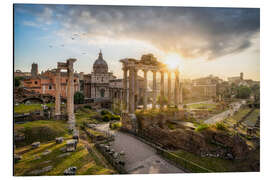 Alubild Das Forum Romanum in Rom, Italien