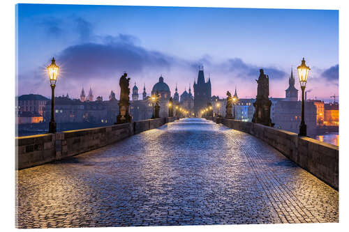 Acrylglas print Charles Bridge in Prague, Czech Republic