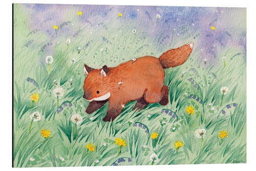 Obraz na aluminium Fox in the meadow