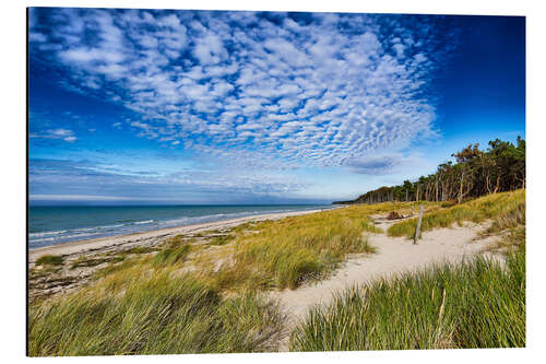 Aluminium print West beach on the Darß