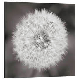 Magnettafel Pusteblume 