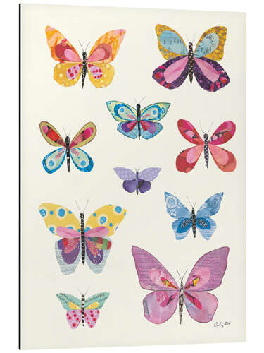 Obraz na aluminium Butterfly Charts II