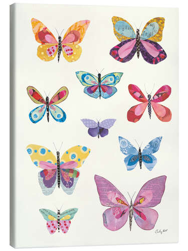 Canvas print Butterfly Charts II