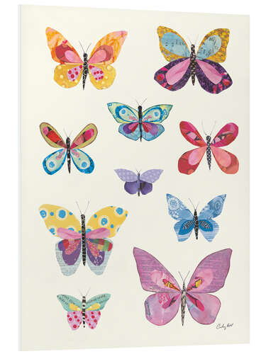 Foam board print Butterfly Charts II