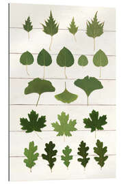 Gallery print Leaf Chart I Shiplap