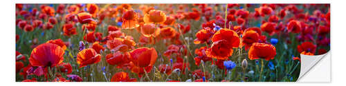 Sisustustarra Poppy field - red dominance