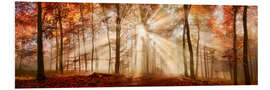 Foam board print Autumn forest