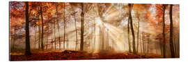 Gallery print Autumn forest