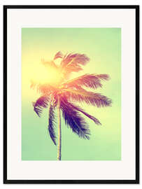 Framed art print A palm in the sunlight