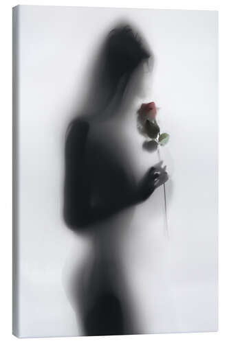 Obraz na płótnie Silhouette with rose