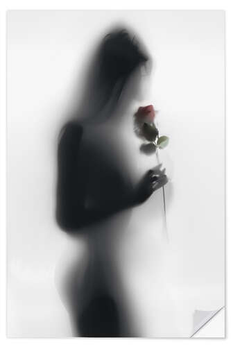 Naklejka na ścianę Silhouette with rose