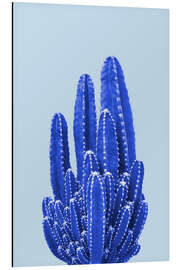 Aluminium print Blue Cactus II