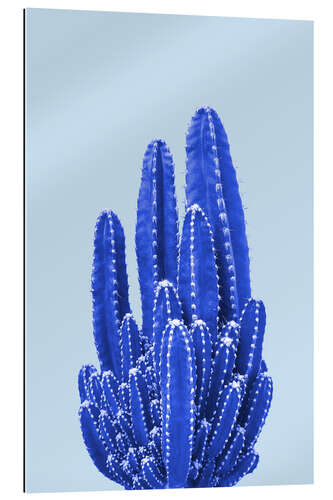 Galleritryck Blue Cactus II