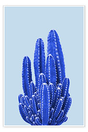 Póster Blue Cactus II