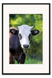 Gerahmter Kunstdruck Porträt einer Kuh